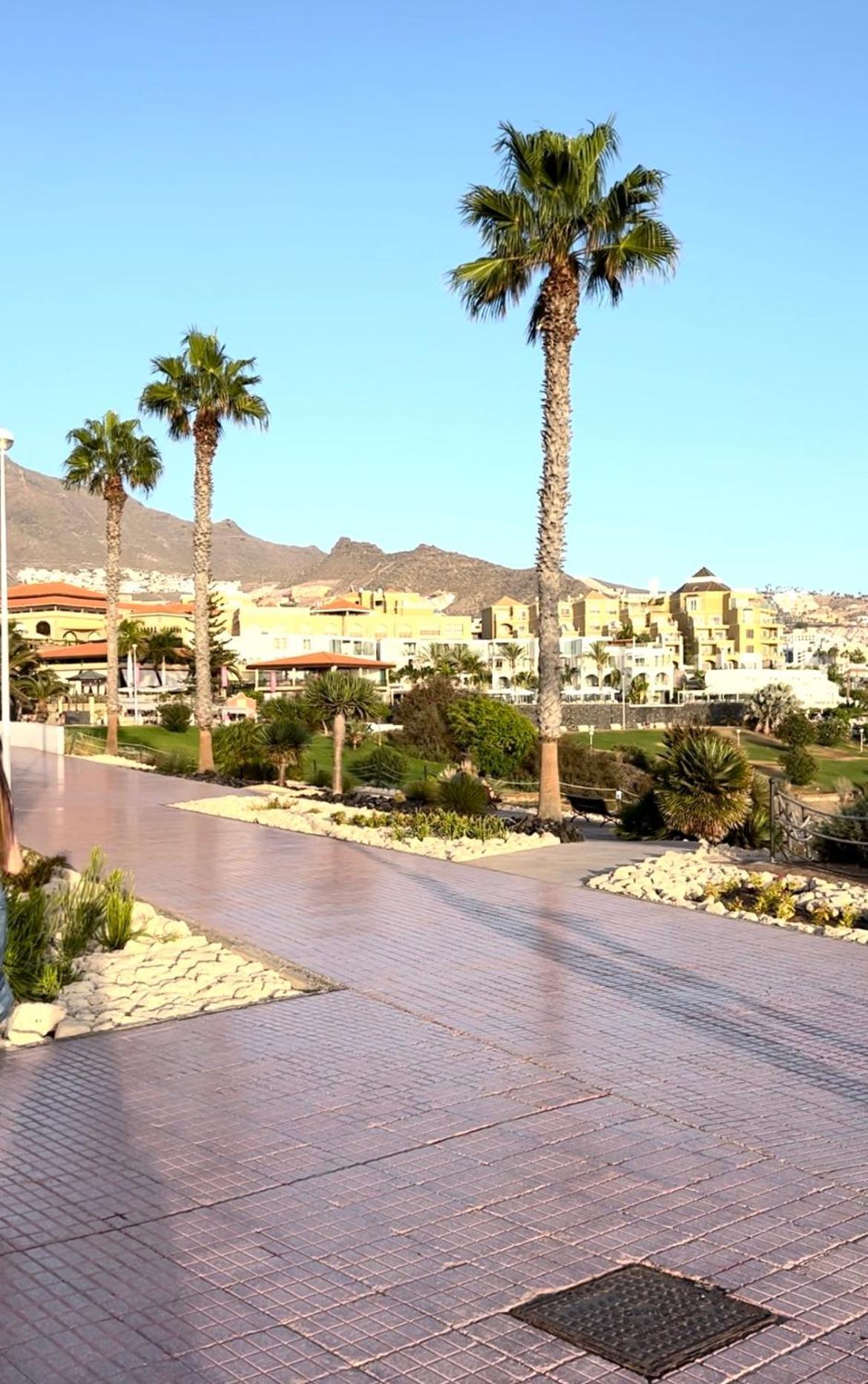 Lovely Sunny Apartment Costa Adeje  Buitenkant foto